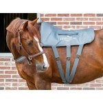 Equilibrium Massage Pad - 3 Length Sizes Available 